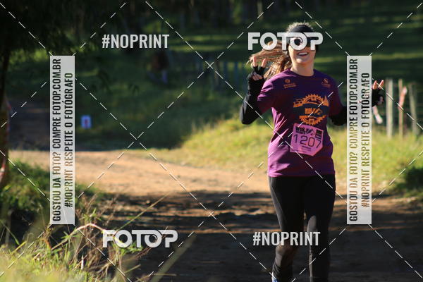 Buy your photos of the eventWolf Series - Botucatu on Fotop