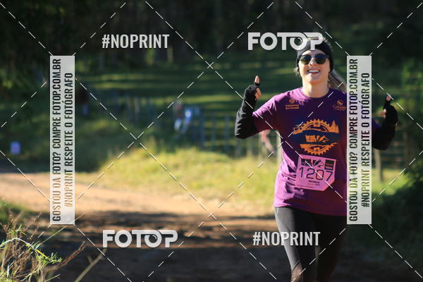 Buy your photos of the eventWolf Series - Botucatu on Fotop