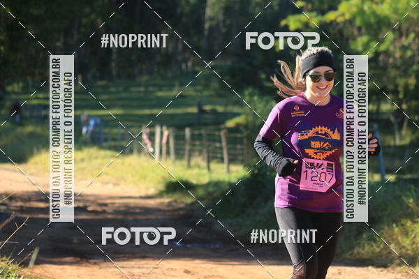 Buy your photos of the eventWolf Series - Botucatu on Fotop