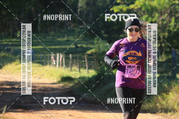 Buy your photos of the eventWolf Series - Botucatu on Fotop