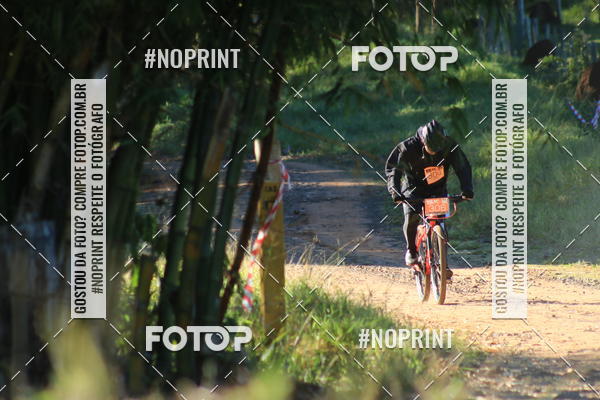 Buy your photos of the eventWolf Series - Botucatu on Fotop