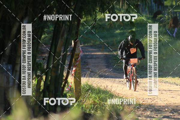 Buy your photos of the eventWolf Series - Botucatu on Fotop