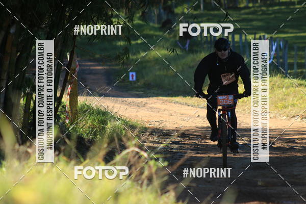 Buy your photos of the eventWolf Series - Botucatu on Fotop