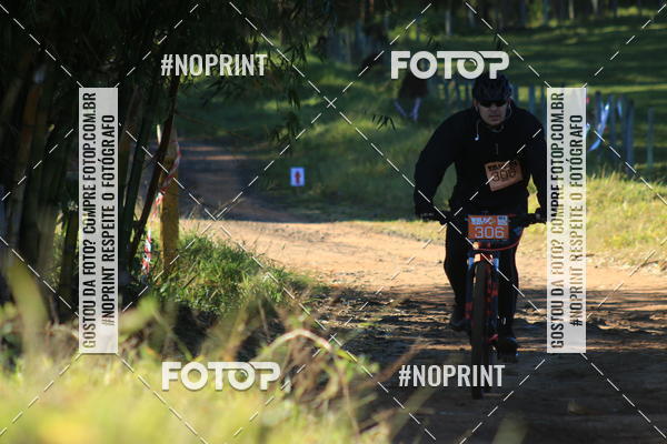 Buy your photos of the eventWolf Series - Botucatu on Fotop