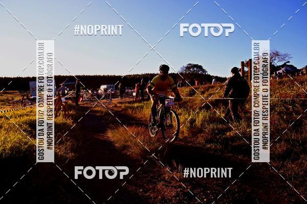 Buy your photos of the eventWolf Series - Botucatu on Fotop