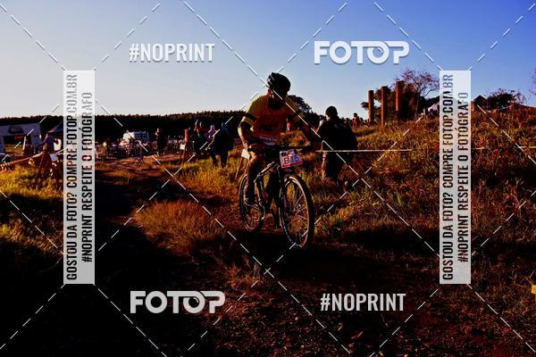 Buy your photos of the eventWolf Series - Botucatu on Fotop