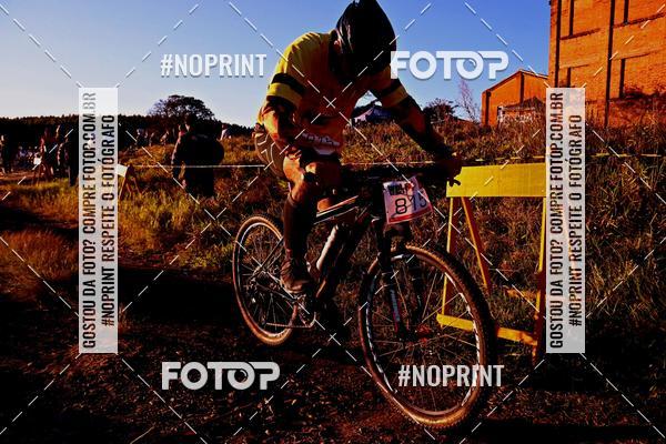 Buy your photos of the eventWolf Series - Botucatu on Fotop