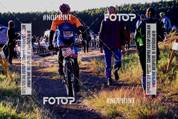 Buy your photos of the eventWolf Series - Botucatu on Fotop