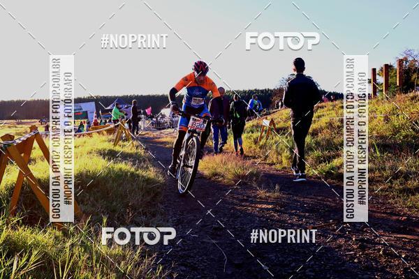 Buy your photos of the eventWolf Series - Botucatu on Fotop