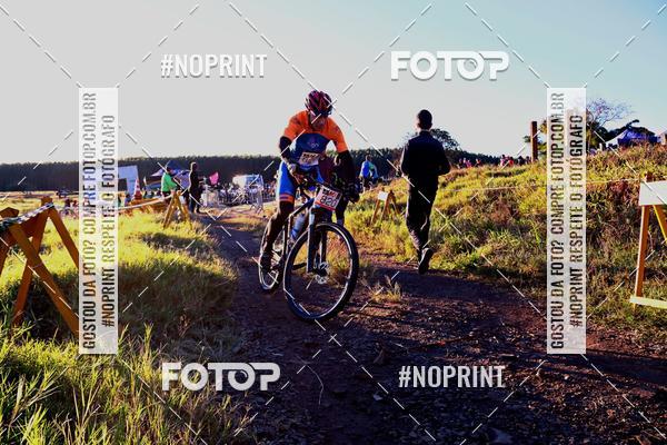 Buy your photos of the eventWolf Series - Botucatu on Fotop