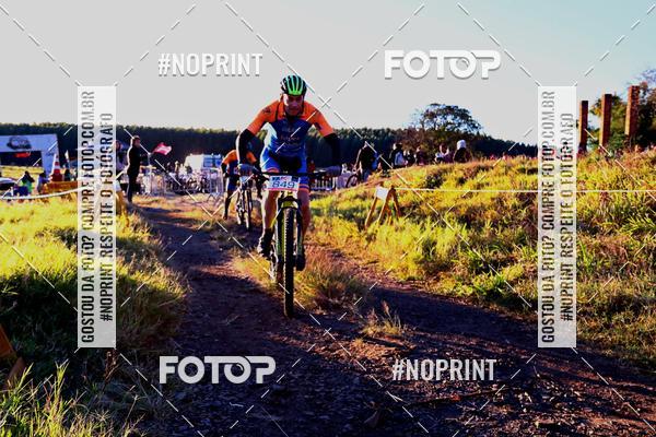 Buy your photos of the eventWolf Series - Botucatu on Fotop