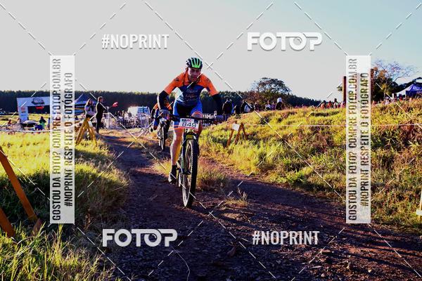 Buy your photos of the eventWolf Series - Botucatu on Fotop