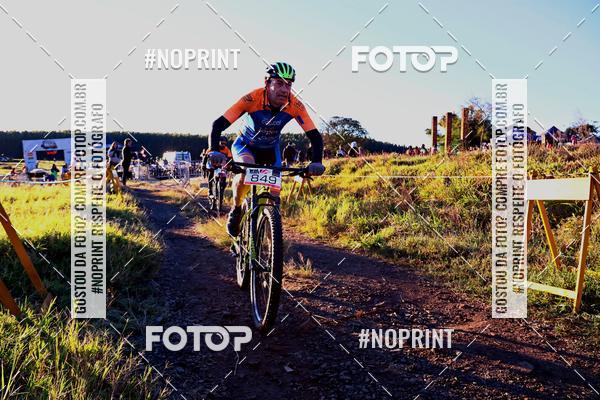 Buy your photos of the eventWolf Series - Botucatu on Fotop