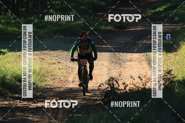 Achetez vos photos de l'vnementWolf Series - Botucatu sur Fotop