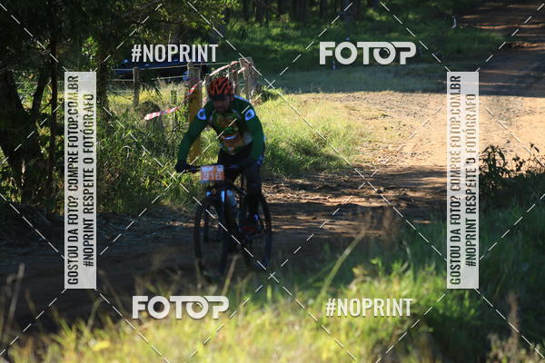 Achetez vos photos de l'vnementWolf Series - Botucatu sur Fotop