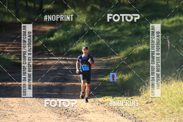 Achetez vos photos de l'vnementWolf Series - Botucatu sur Fotop