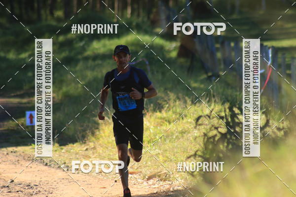 Achetez vos photos de l'vnementWolf Series - Botucatu sur Fotop