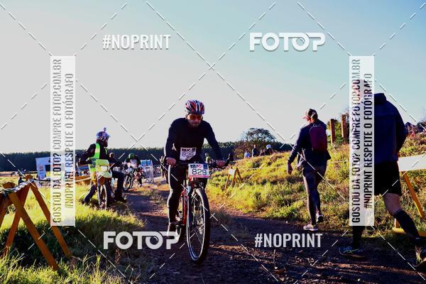 Buy your photos of the eventWolf Series - Botucatu on Fotop