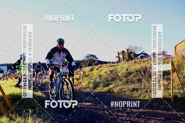 Buy your photos of the eventWolf Series - Botucatu on Fotop