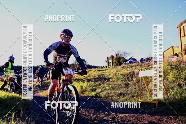 Buy your photos of the eventWolf Series - Botucatu on Fotop