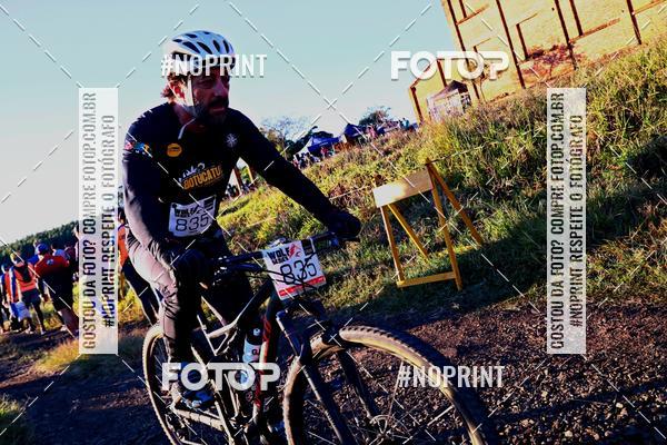 Buy your photos of the eventWolf Series - Botucatu on Fotop