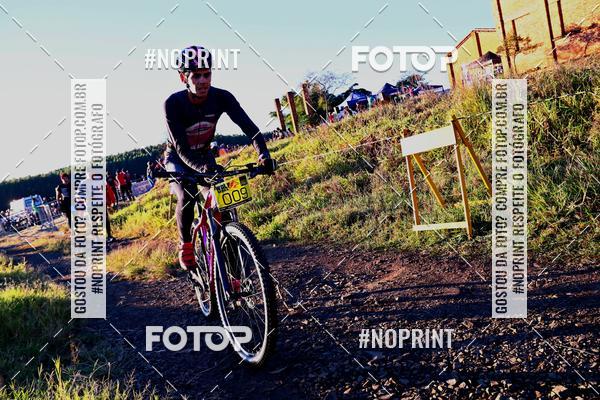 Buy your photos of the eventWolf Series - Botucatu on Fotop