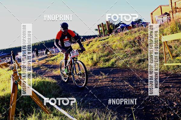 Buy your photos of the eventWolf Series - Botucatu on Fotop