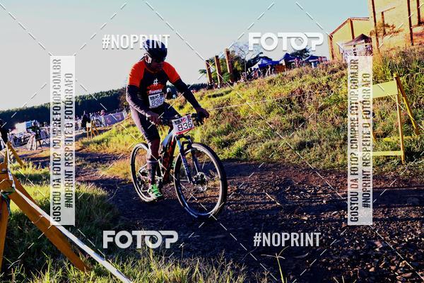 Buy your photos of the eventWolf Series - Botucatu on Fotop