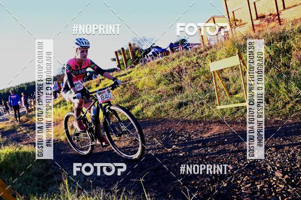 Buy your photos of the eventWolf Series - Botucatu on Fotop