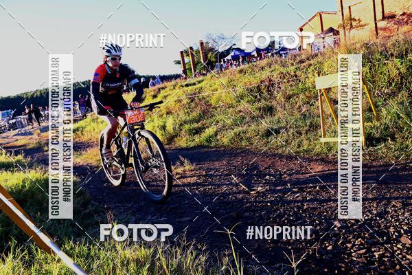 Buy your photos of the eventWolf Series - Botucatu on Fotop