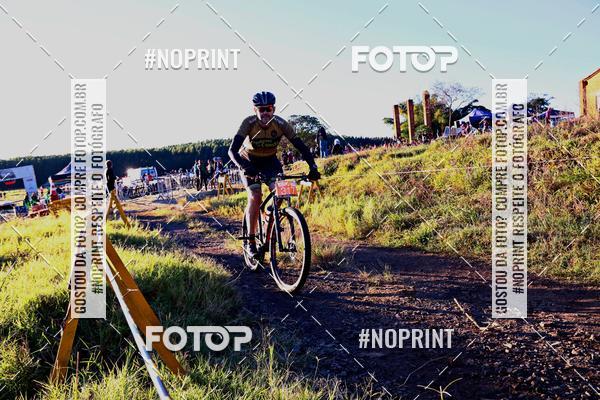 Buy your photos of the eventWolf Series - Botucatu on Fotop