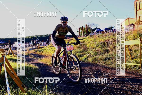 Buy your photos of the eventWolf Series - Botucatu on Fotop