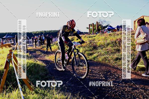 Buy your photos of the eventWolf Series - Botucatu on Fotop