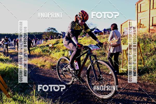 Buy your photos of the eventWolf Series - Botucatu on Fotop