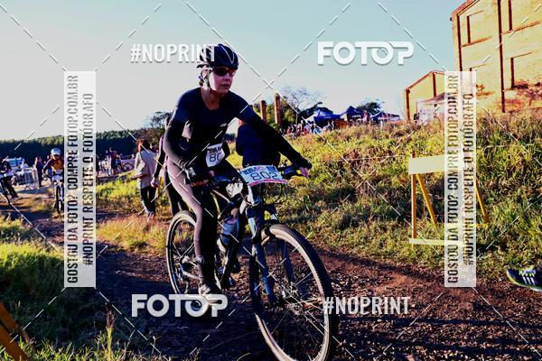 Buy your photos of the eventWolf Series - Botucatu on Fotop