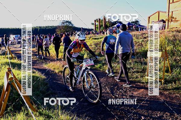 Buy your photos of the eventWolf Series - Botucatu on Fotop