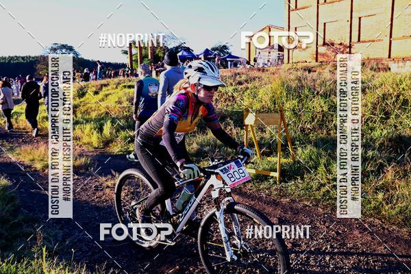 Buy your photos of the eventWolf Series - Botucatu on Fotop