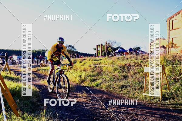 Buy your photos of the eventWolf Series - Botucatu on Fotop