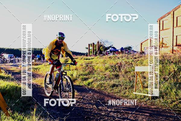 Buy your photos of the eventWolf Series - Botucatu on Fotop