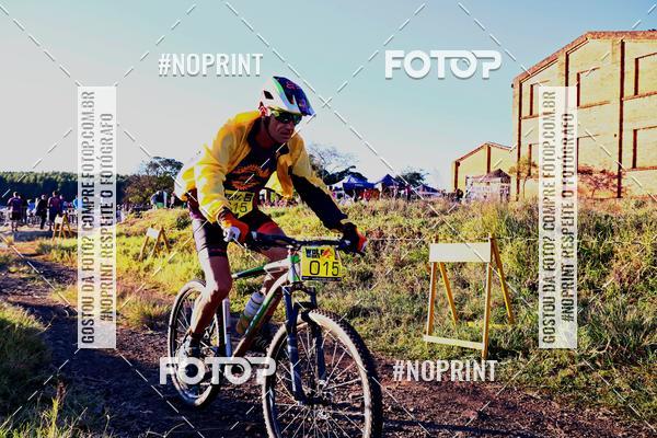 Buy your photos of the eventWolf Series - Botucatu on Fotop