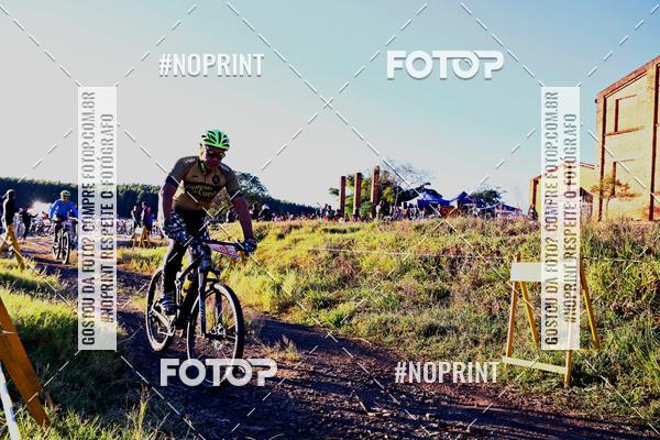 Buy your photos of the eventWolf Series - Botucatu on Fotop