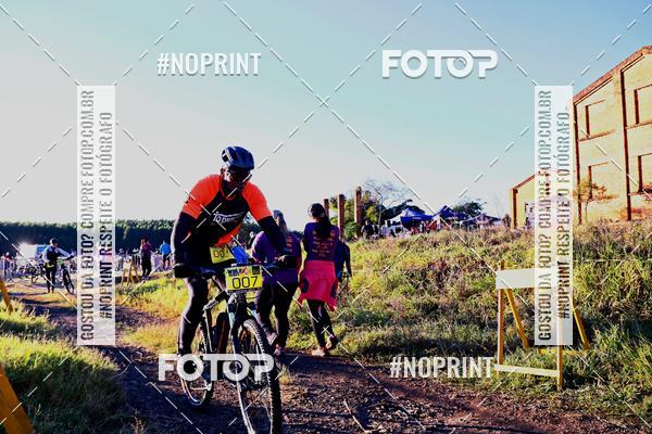 Buy your photos of the eventWolf Series - Botucatu on Fotop