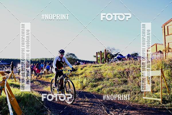 Buy your photos of the eventWolf Series - Botucatu on Fotop