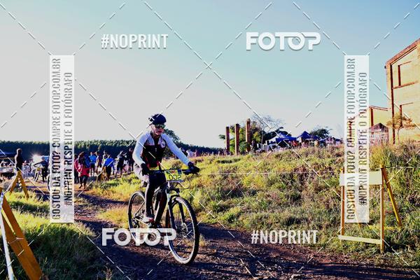 Buy your photos of the eventWolf Series - Botucatu on Fotop