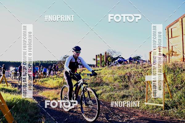 Buy your photos of the eventWolf Series - Botucatu on Fotop