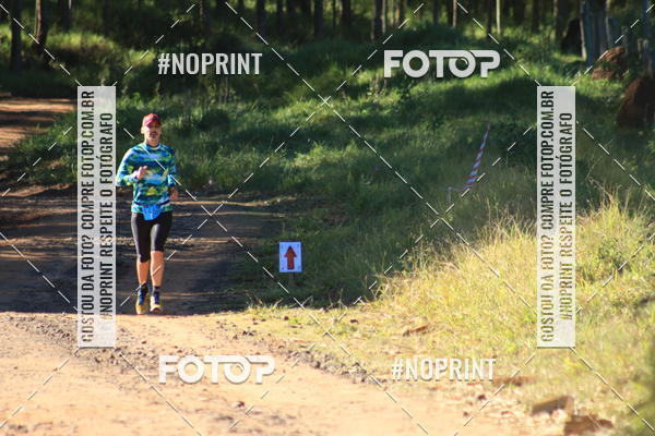 Achetez vos photos de l'vnementWolf Series - Botucatu sur Fotop