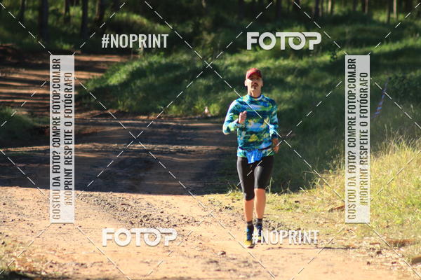 Buy your photos of the eventWolf Series - Botucatu on Fotop