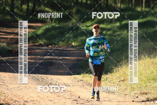 Buy your photos of the eventWolf Series - Botucatu on Fotop