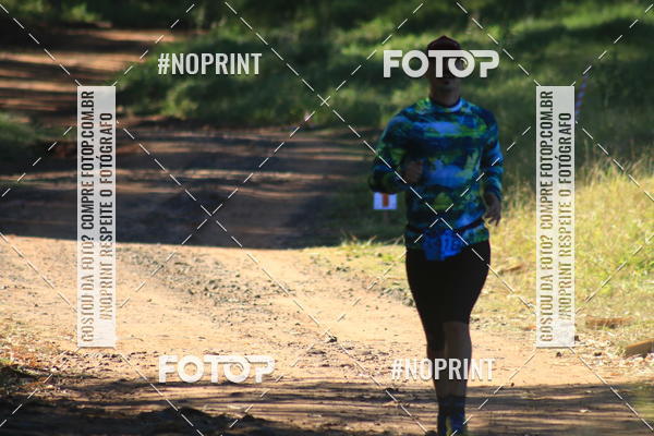 Buy your photos of the eventWolf Series - Botucatu on Fotop