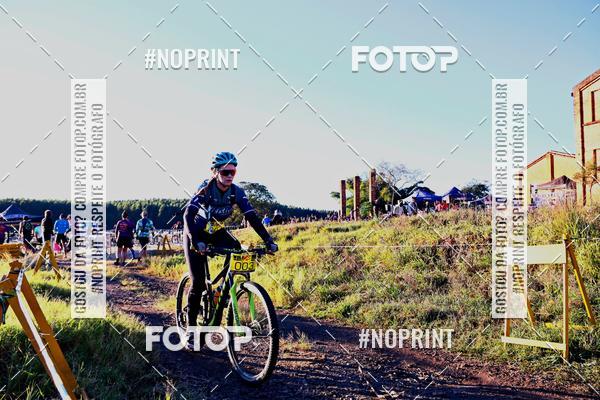 Buy your photos of the eventWolf Series - Botucatu on Fotop